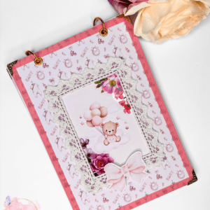 Pildiraamat beebi 1. aasta roosa